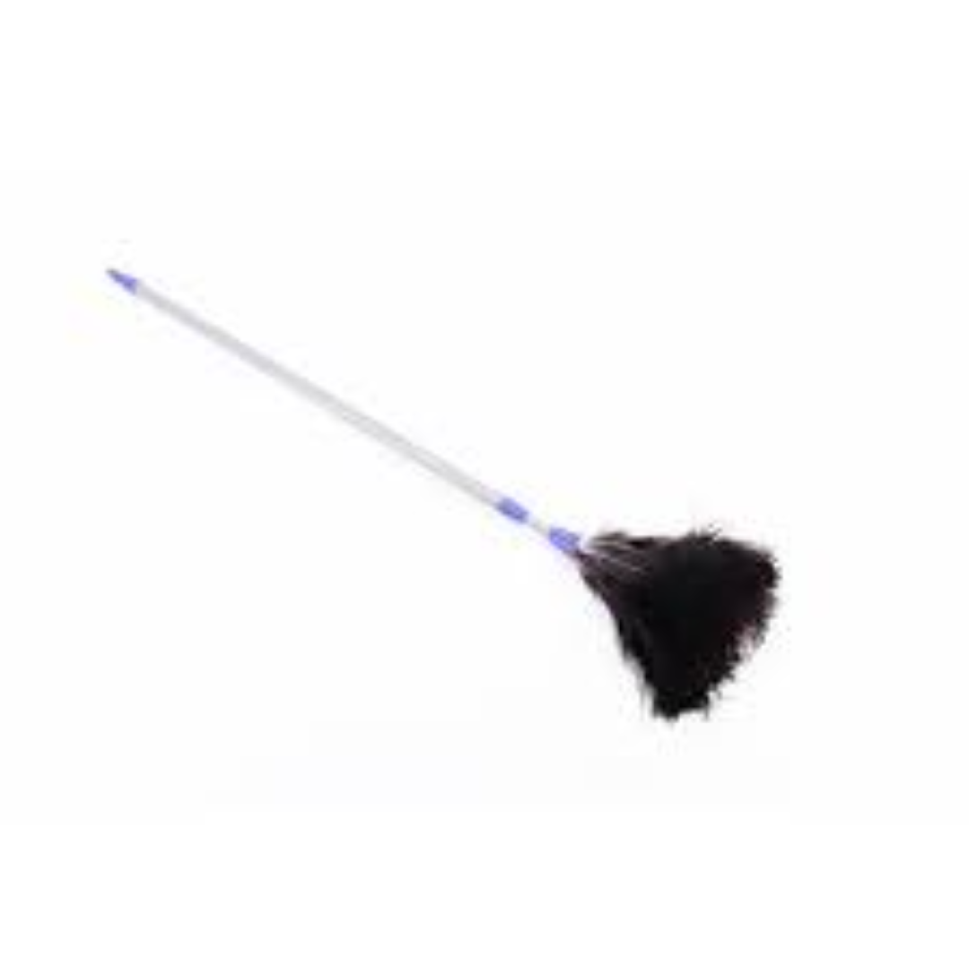 ADDIS CHICK 10 FEATHER DUSTER 2562